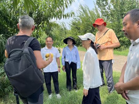 纸牌游戏在线