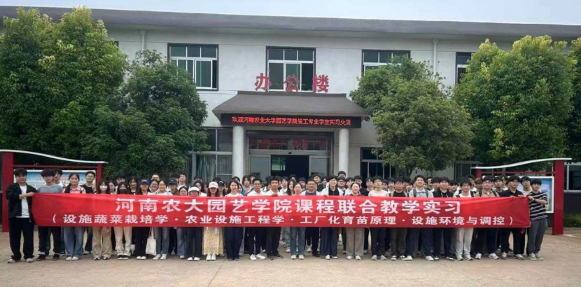 纸牌游戏在线