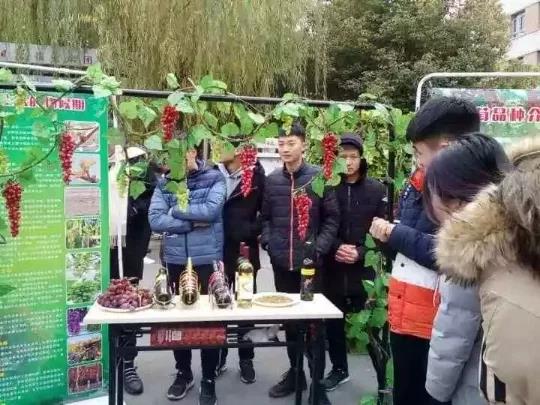 ֽ����Ϸ����