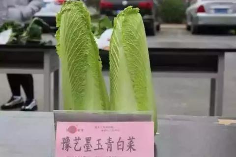 ֽ����Ϸ����