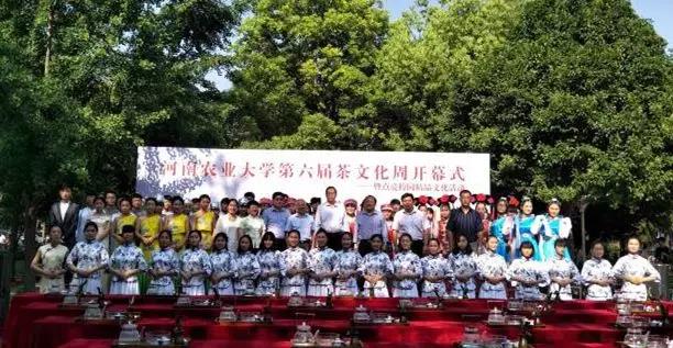 ֽ����Ϸ����