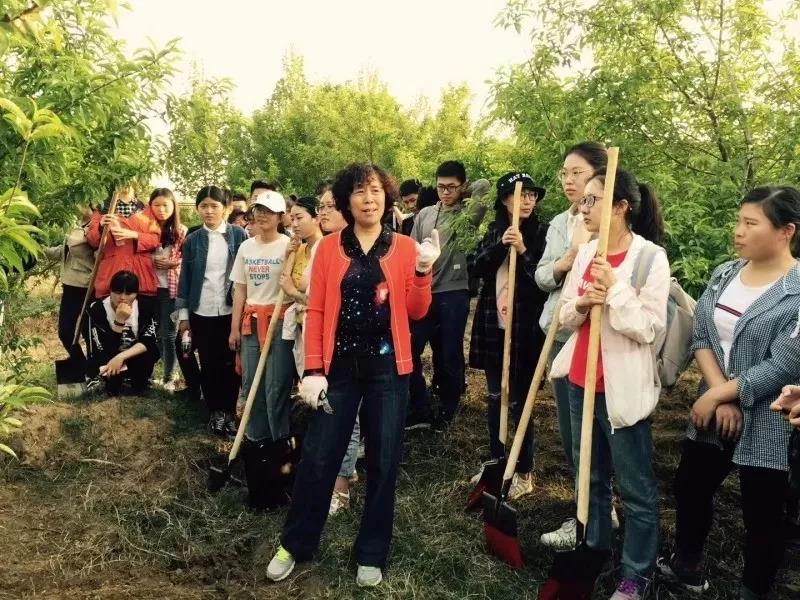 ֽ����Ϸ����