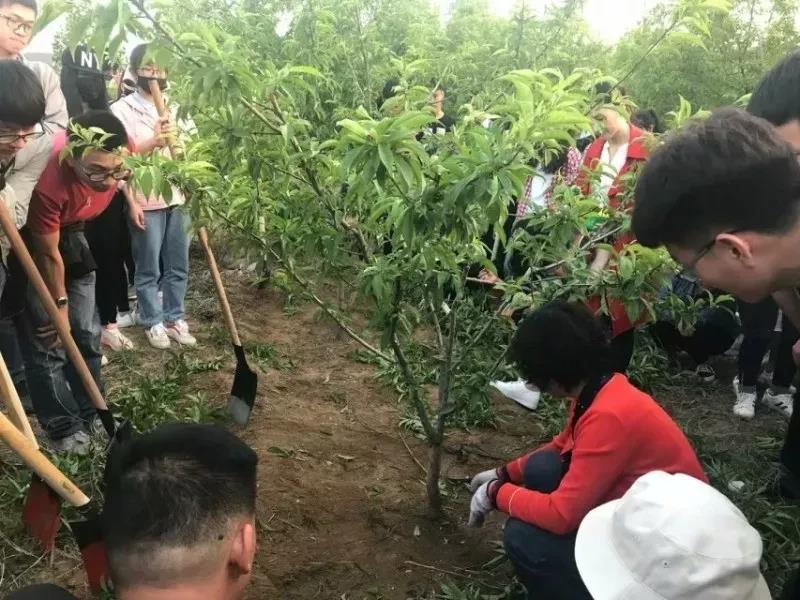 ֽ����Ϸ����