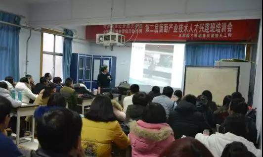 ֽ����Ϸ����