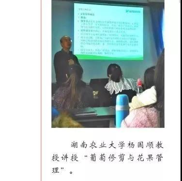 ֽ����Ϸ����