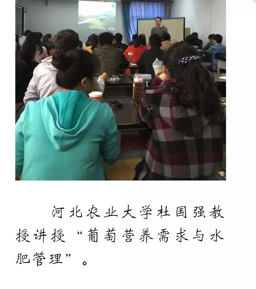 ֽ����Ϸ����