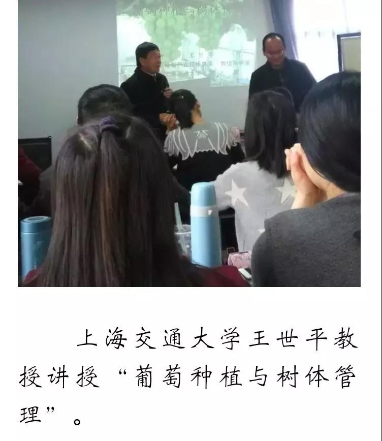 ֽ����Ϸ����