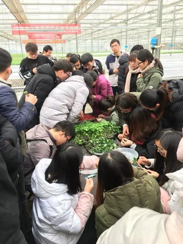 ֽ����Ϸ����