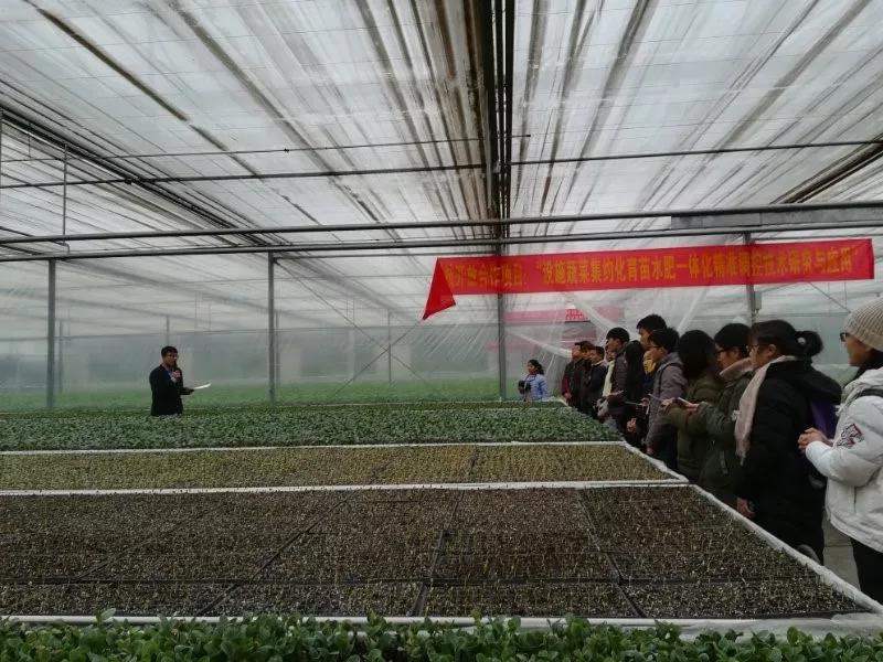 ֽ����Ϸ����