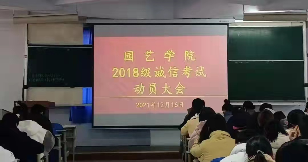 ֽ����Ϸ����