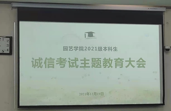 纸牌游戏在线