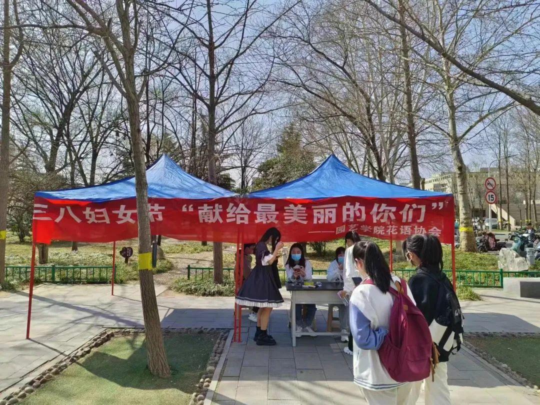 ֽ����Ϸ����