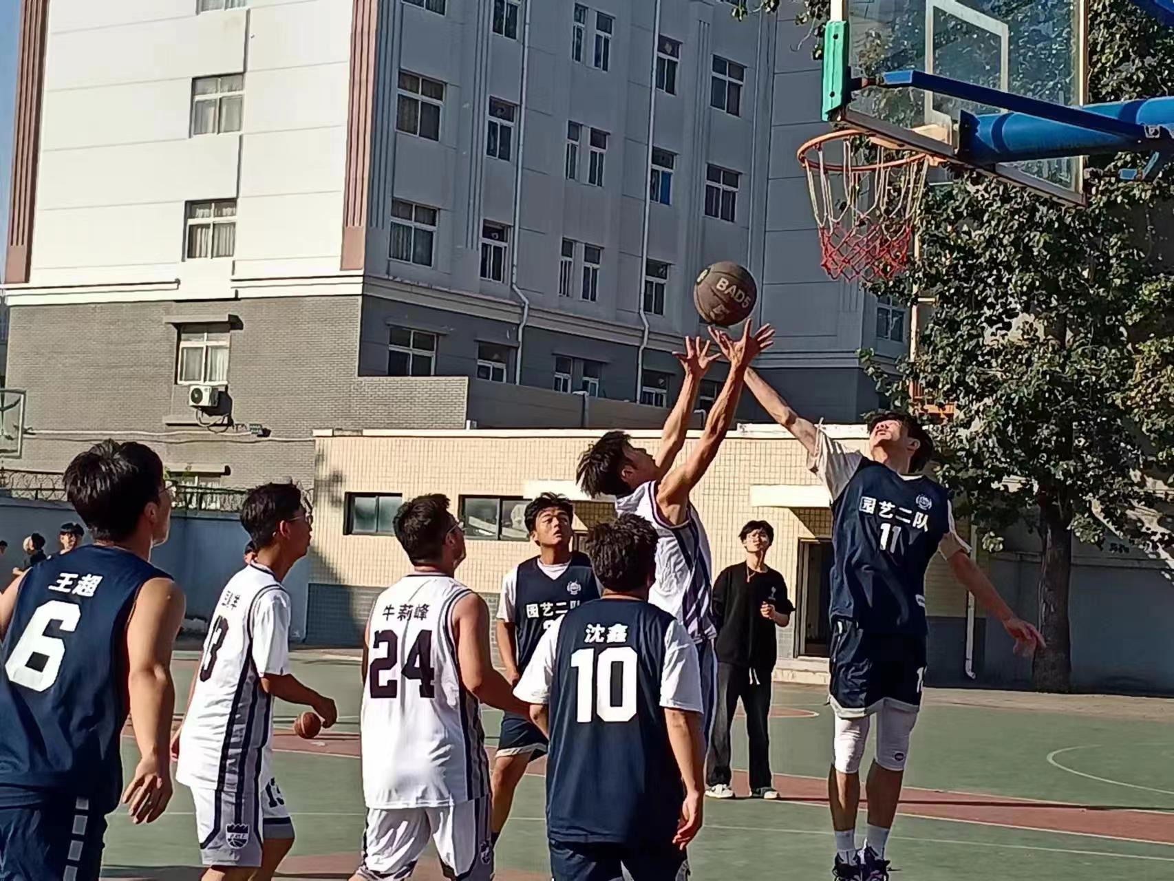 ֽ����Ϸ����