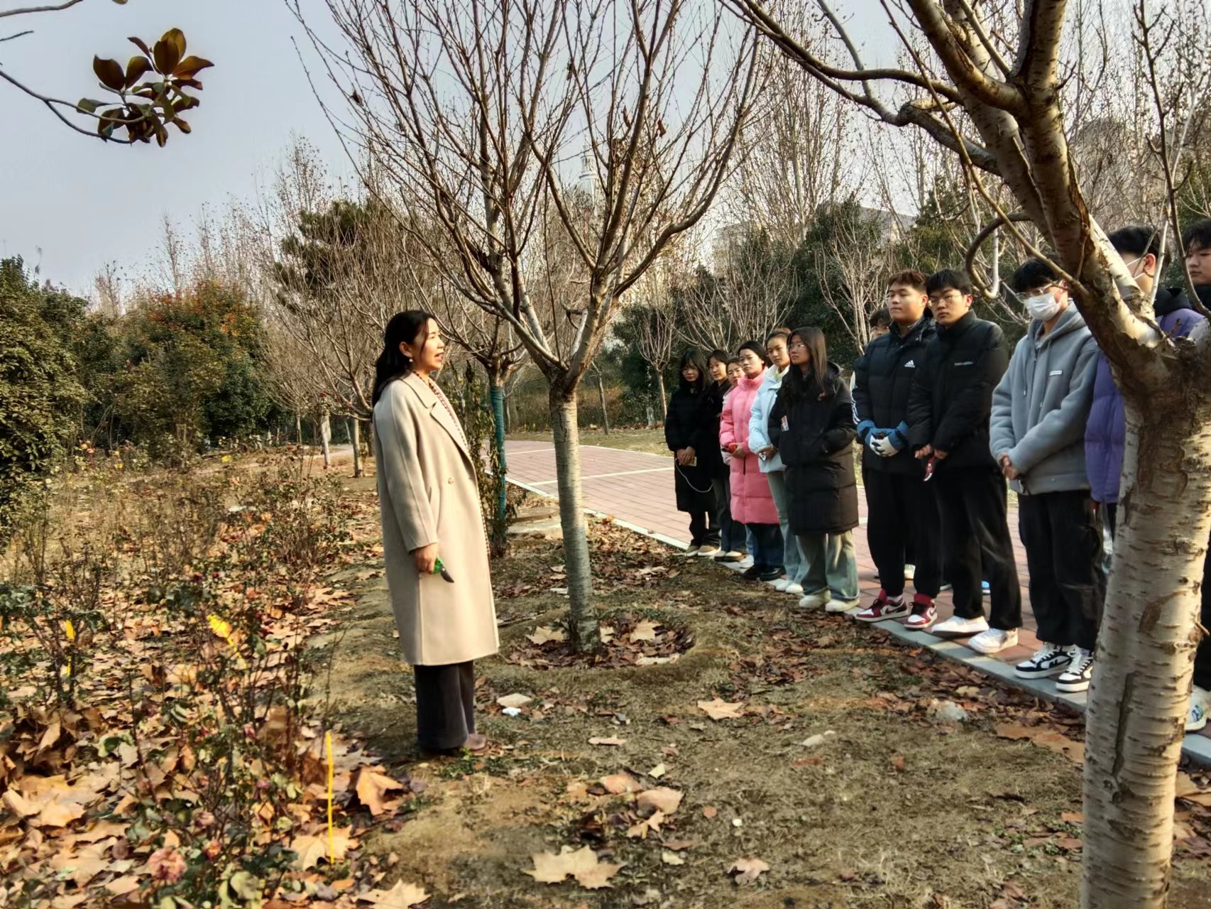 ֽ����Ϸ����