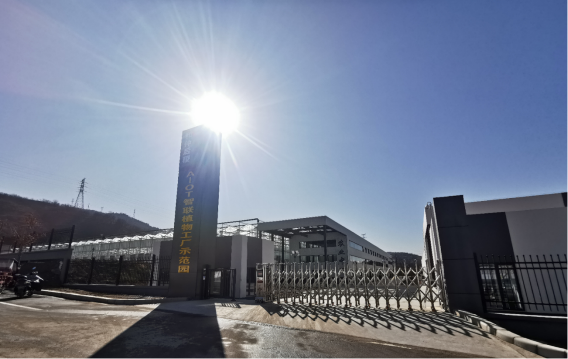 ֽ����Ϸ����