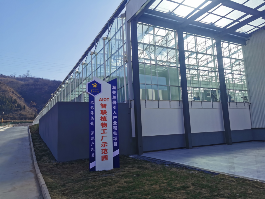 ֽ����Ϸ����