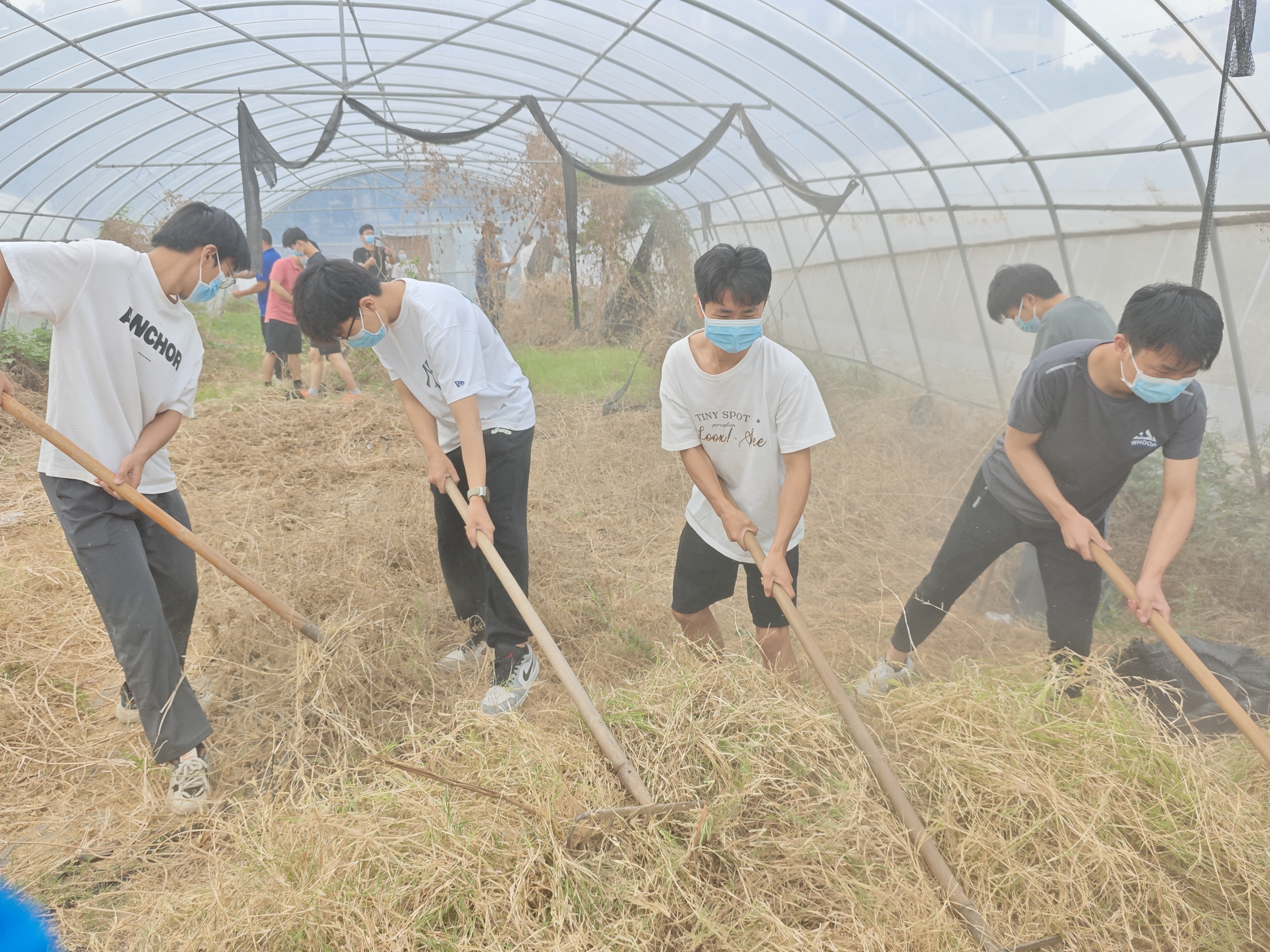 ֽ����Ϸ����