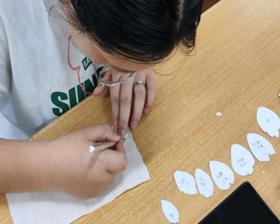 ֽ����Ϸ����