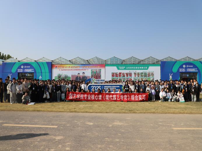 ֽ����Ϸ����