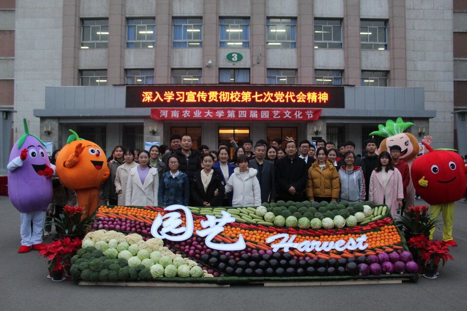 ֽ����Ϸ����