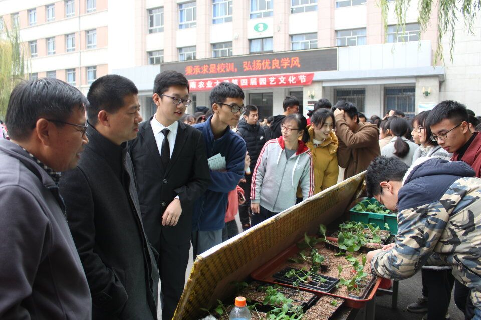 ֽ����Ϸ����