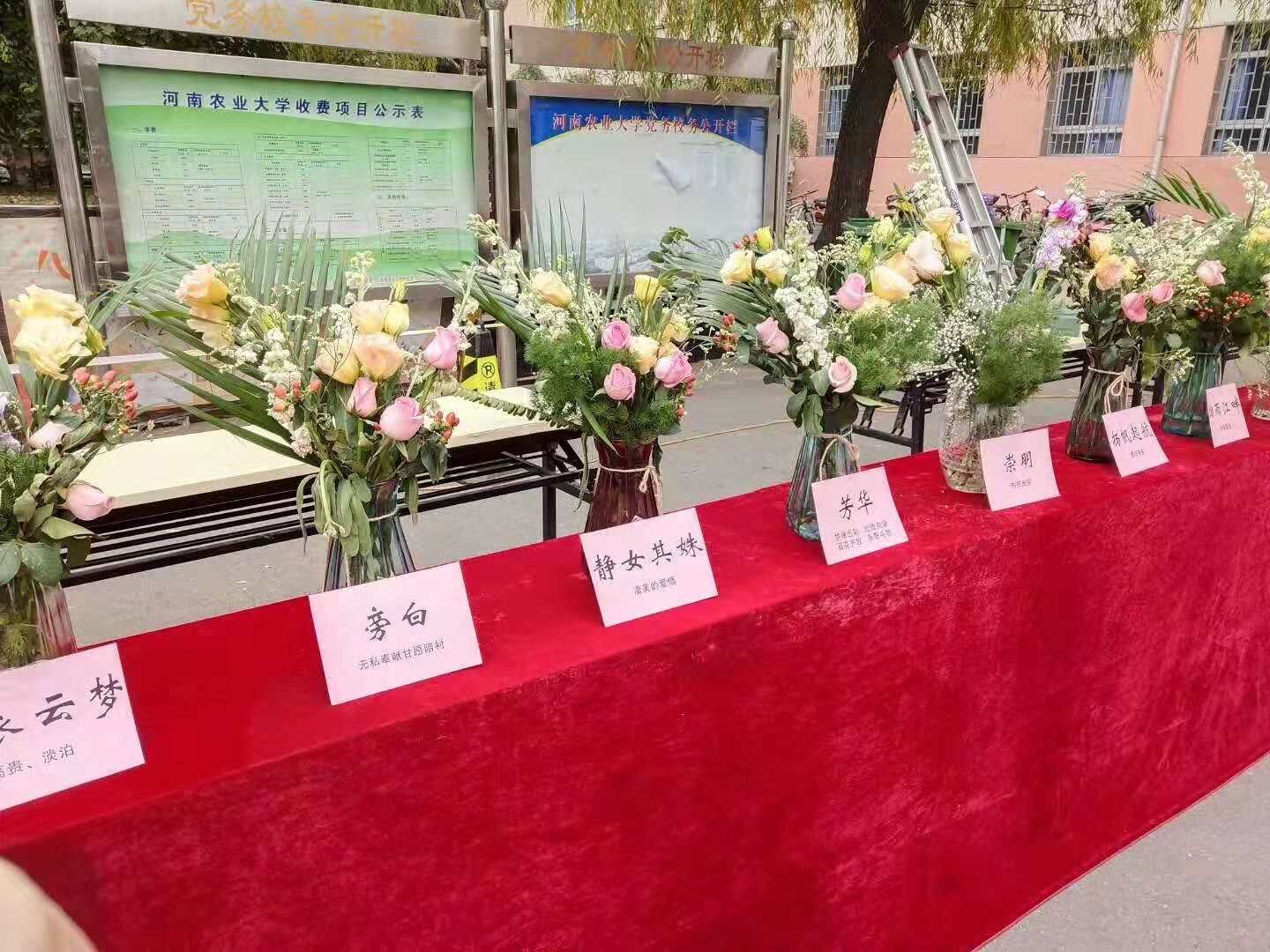 ֽ����Ϸ����