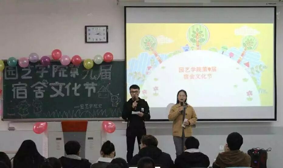 ֽ����Ϸ����