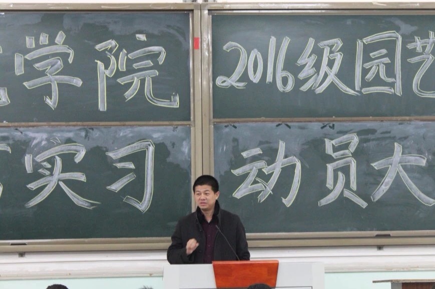 ֽ����Ϸ����