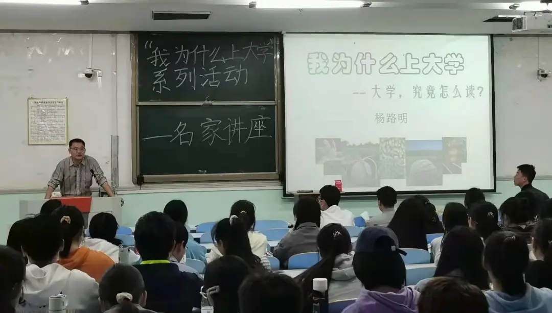 ֽ����Ϸ����