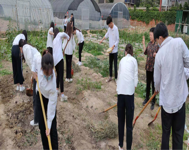 ֽ����Ϸ����