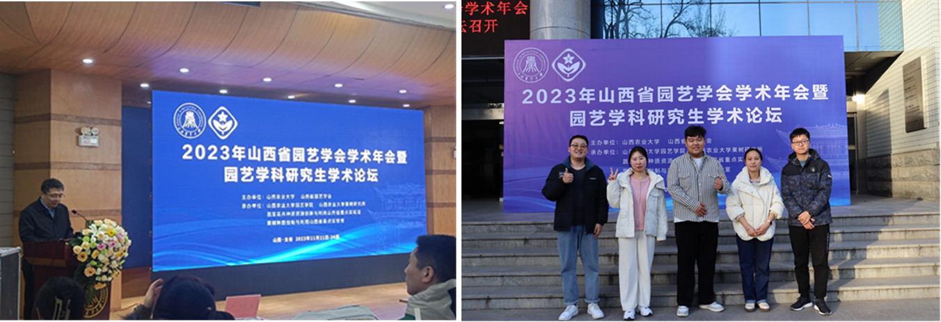 ֽ����Ϸ����