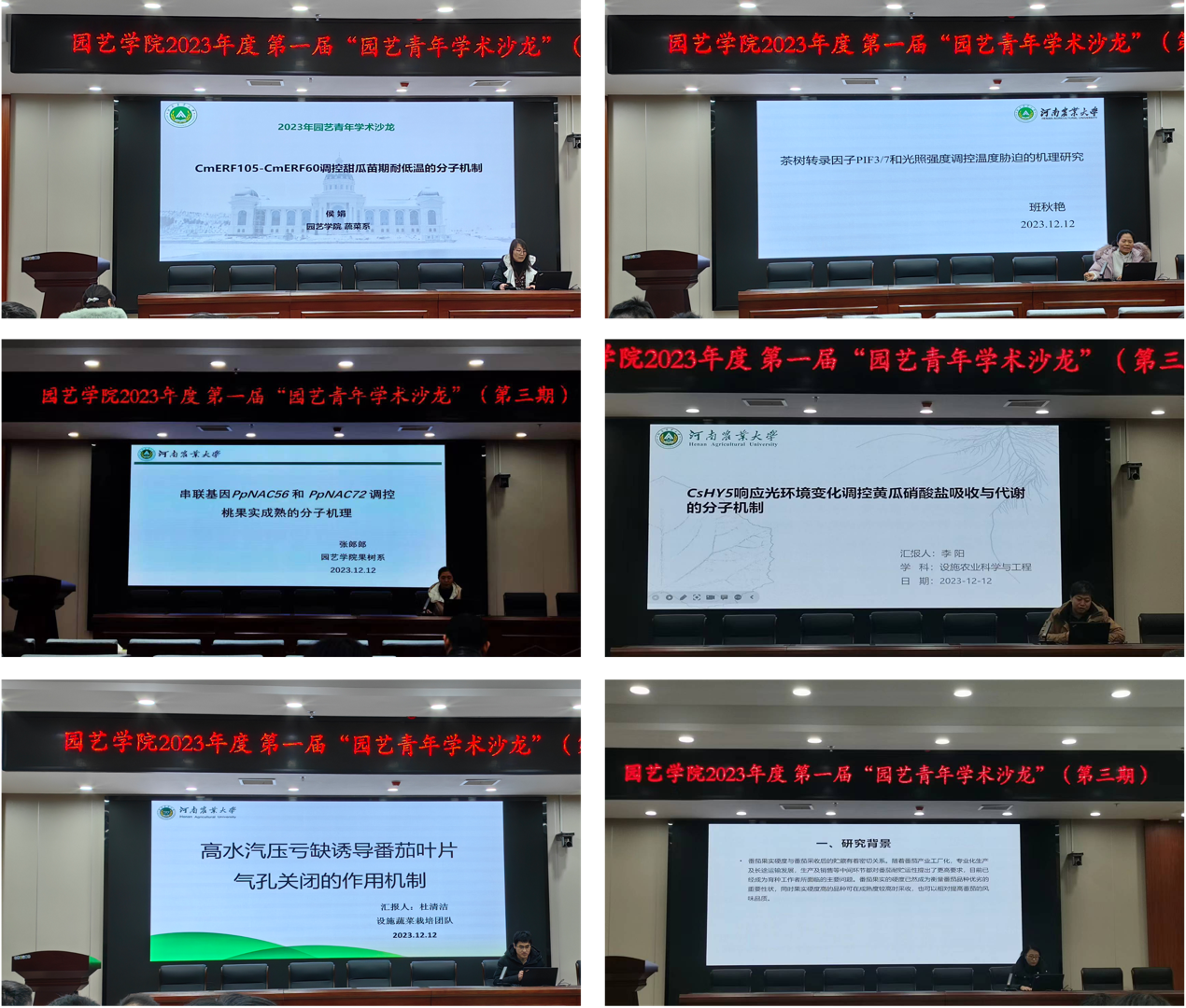 ֽ����Ϸ����