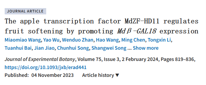 ֽ����Ϸ����