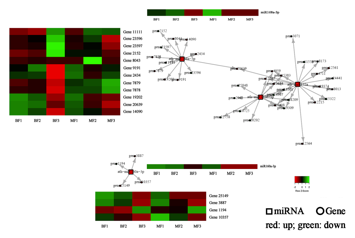 ֽ����Ϸ����