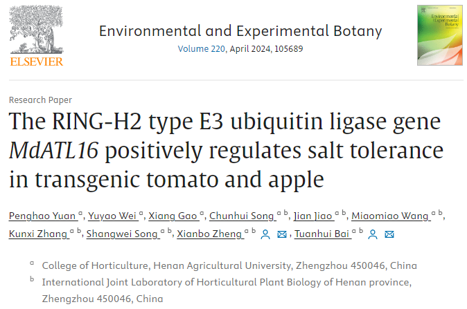 ֽ����Ϸ����