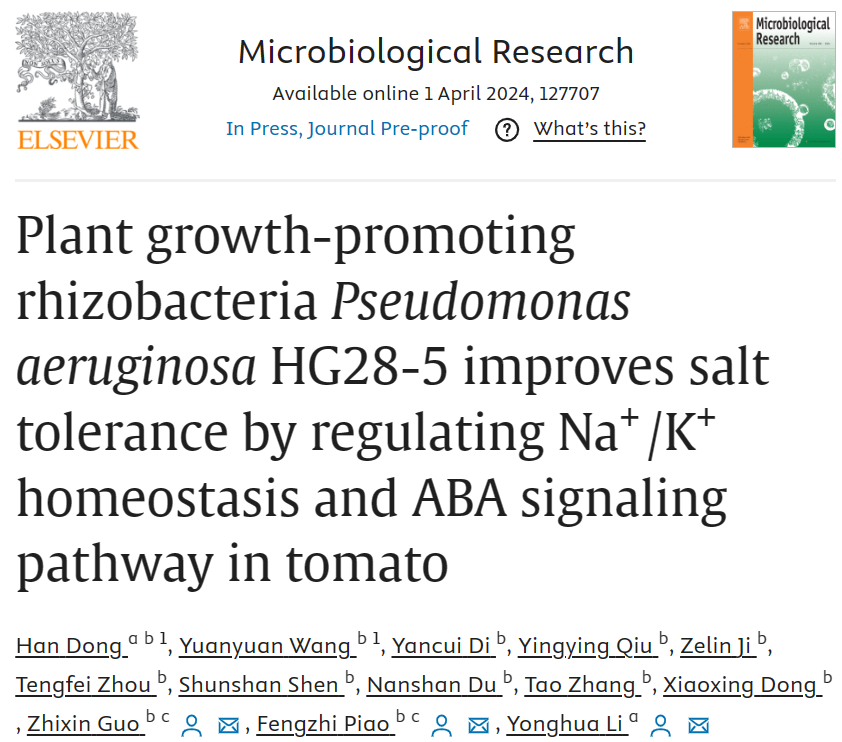 ֽ����Ϸ����