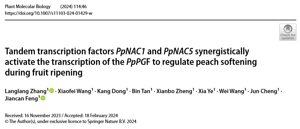 ֽ����Ϸ����