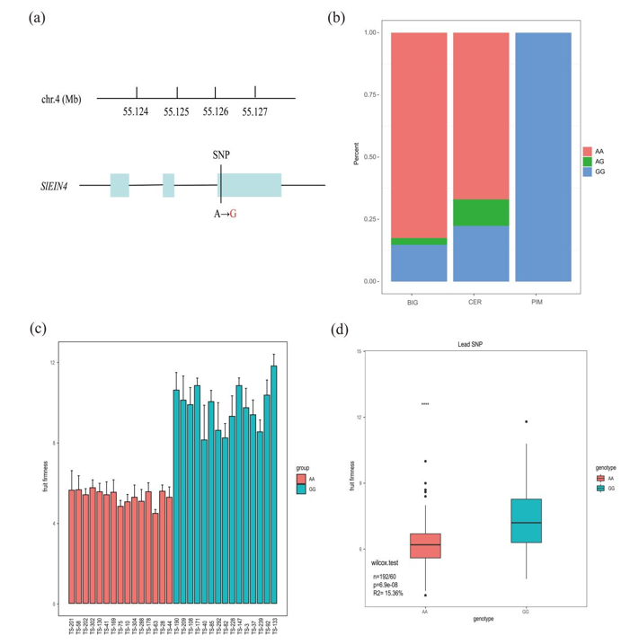 ֽ����Ϸ����