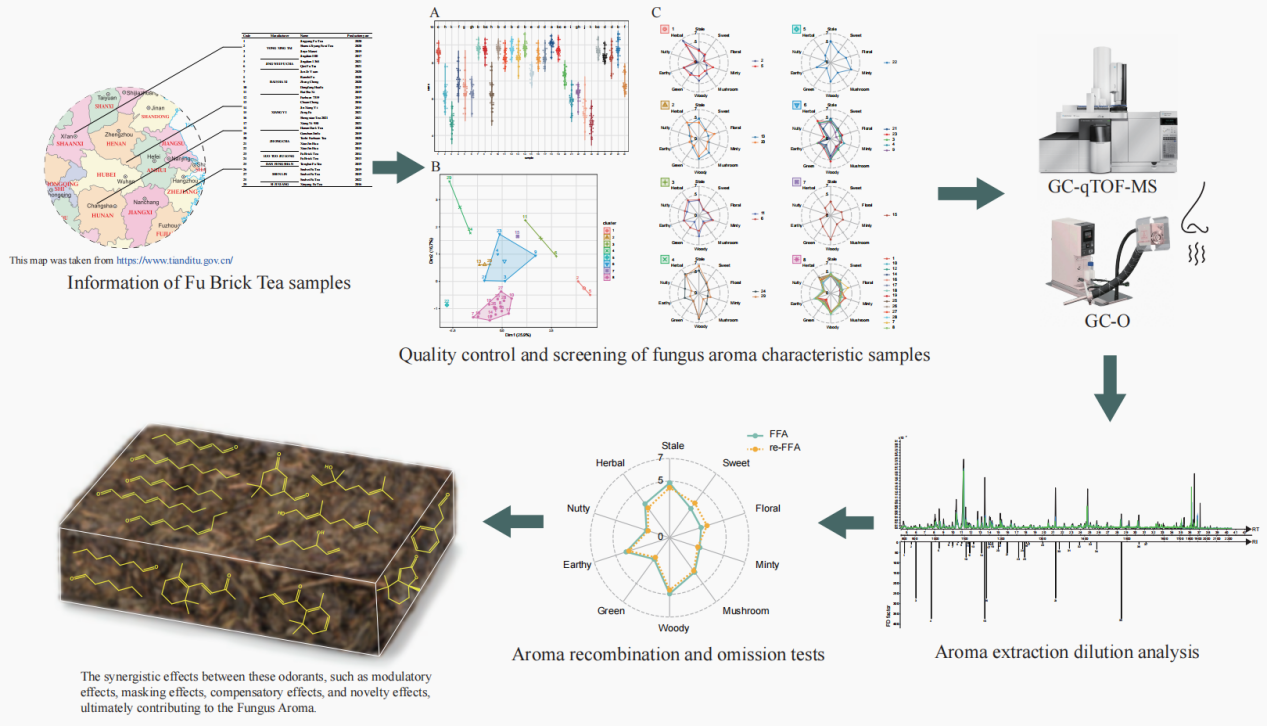 ֽ����Ϸ����