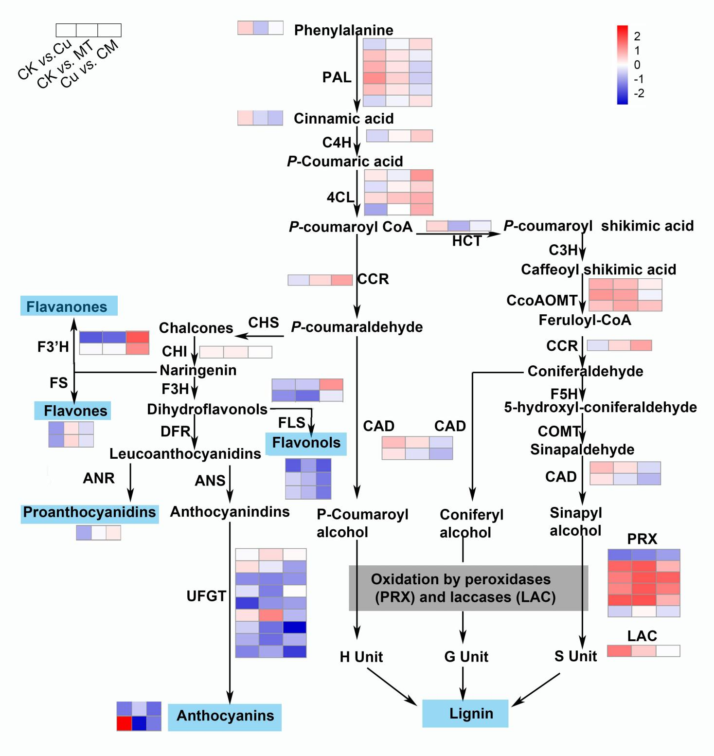 ֽ����Ϸ����