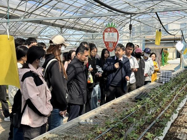 ֽ����Ϸ����