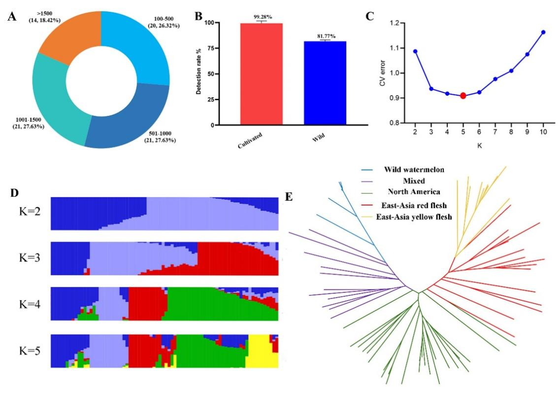 ֽ����Ϸ����