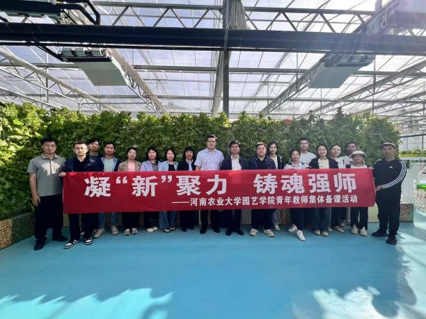 ֽ����Ϸ����