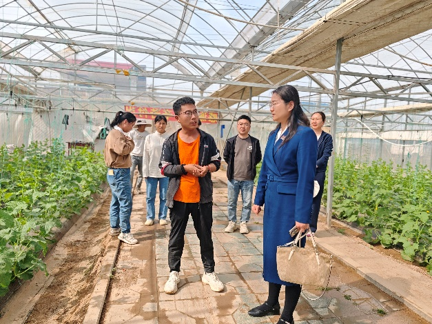 ֽ����Ϸ����