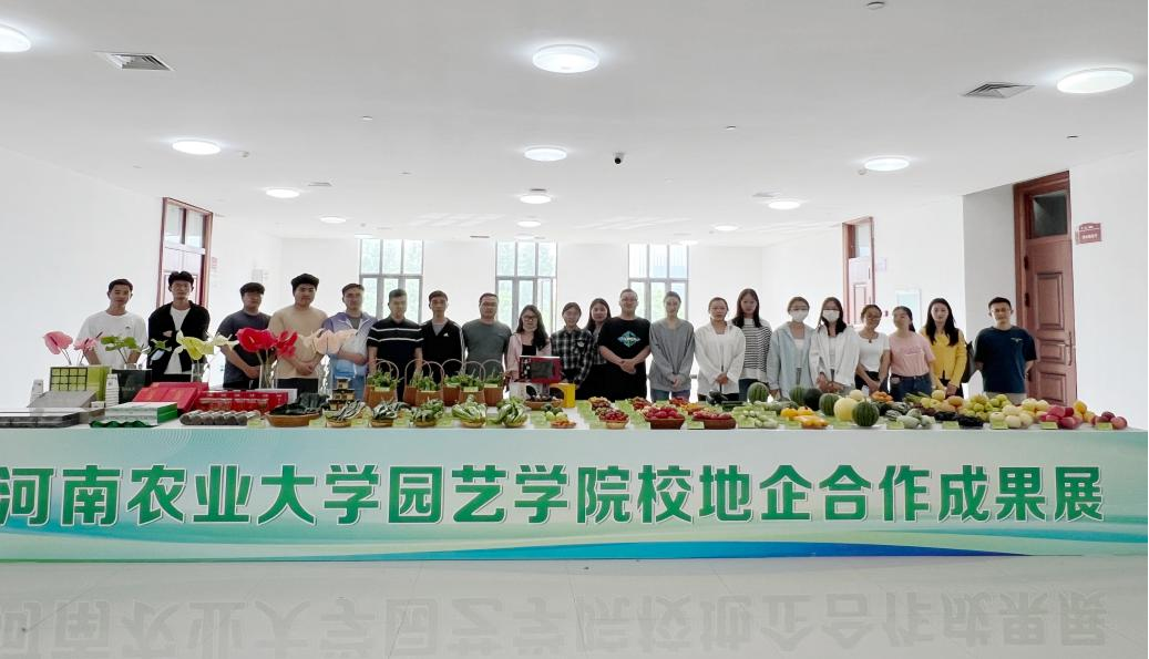 ֽ����Ϸ����