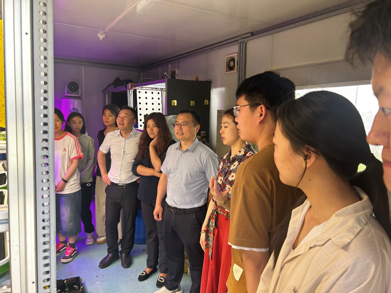 ֽ����Ϸ����