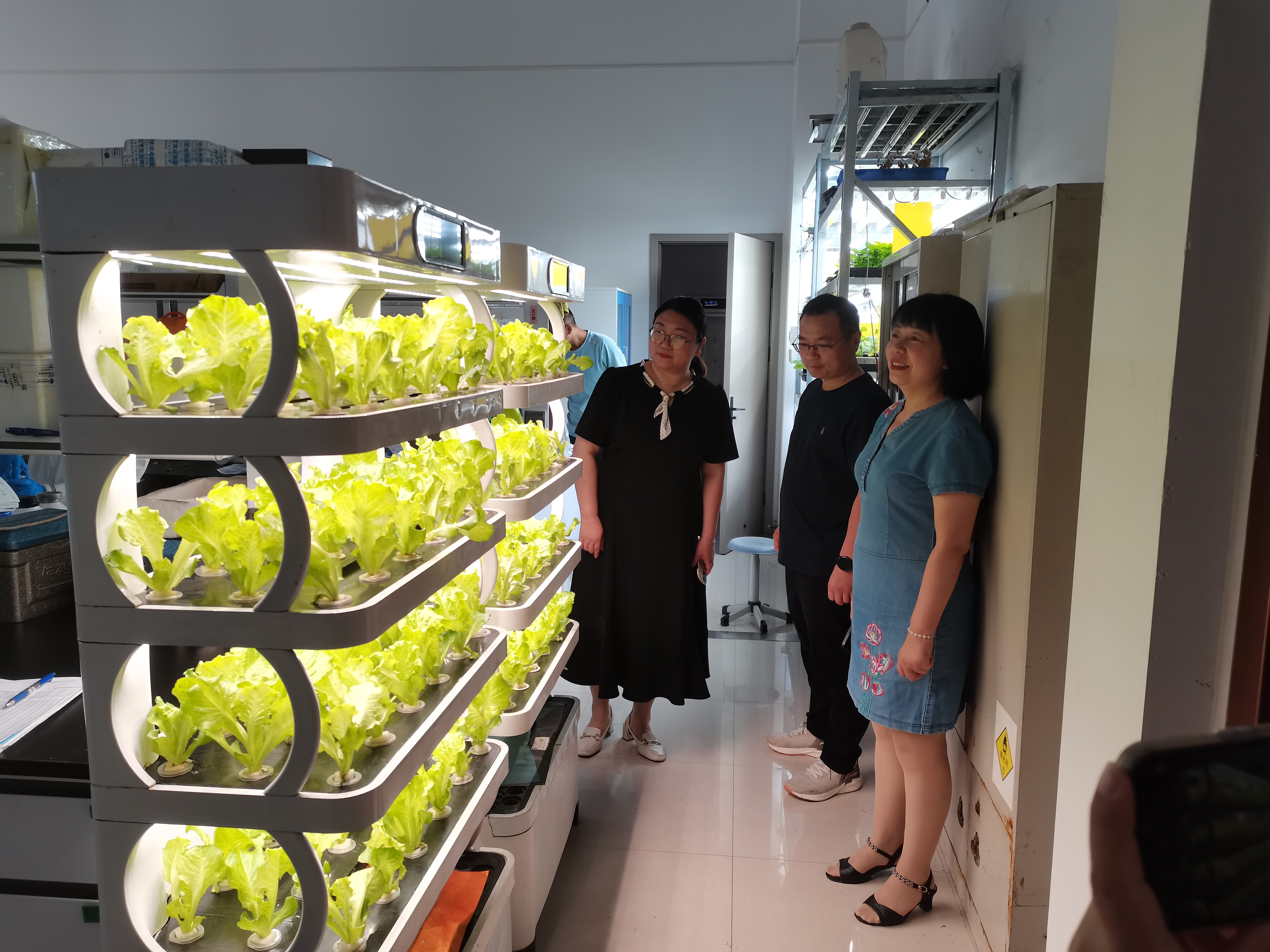 ֽ����Ϸ����