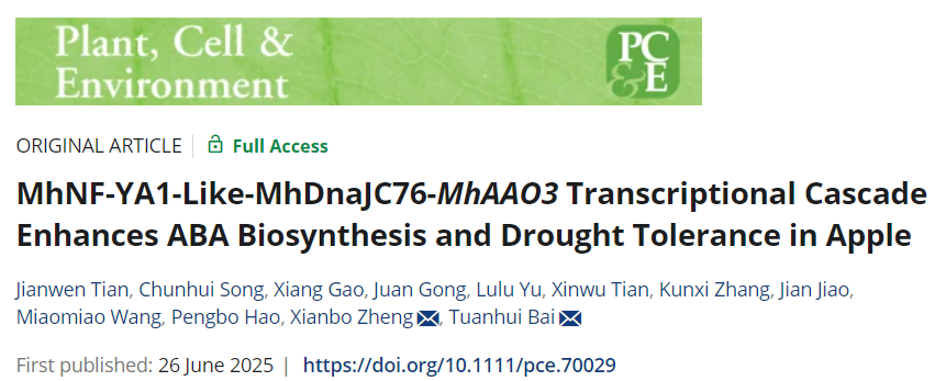 ֽ����Ϸ����