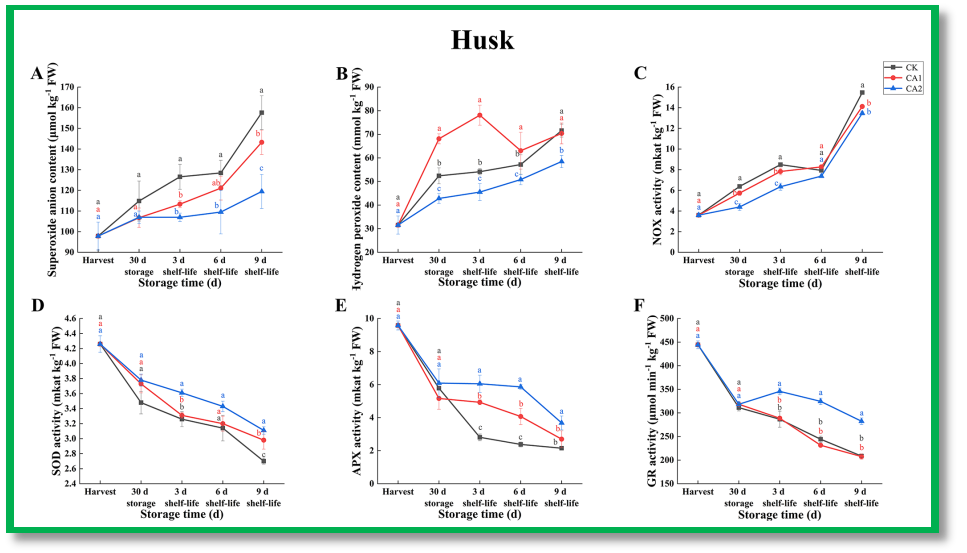 ֽ����Ϸ����