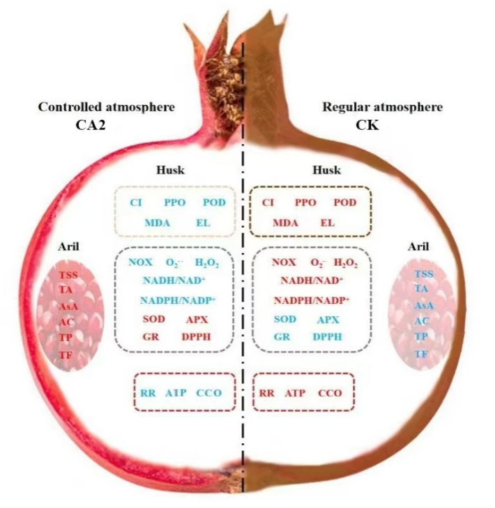 ֽ����Ϸ����